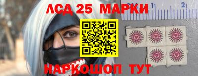 амф Сланцы