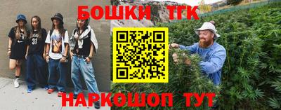 амф Сланцы