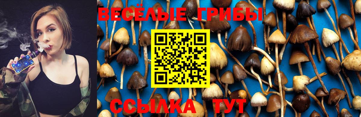 Галлюциногенные грибы Psilocybine cubensis Новочеркасск
