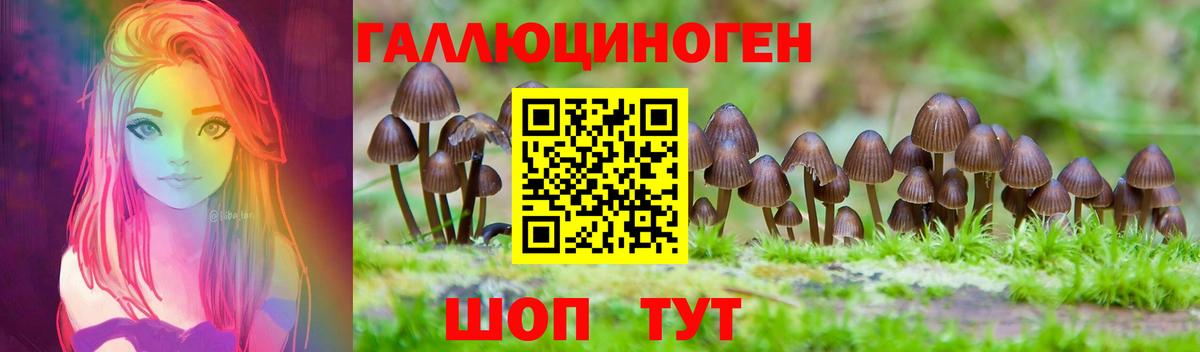 Новочеркасск  Псилоцибиновые грибы мицелий  Вход с VPN 